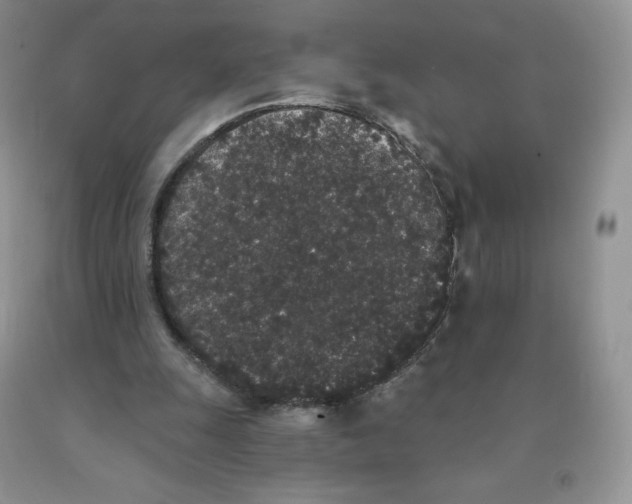 X0000091330247200709071203