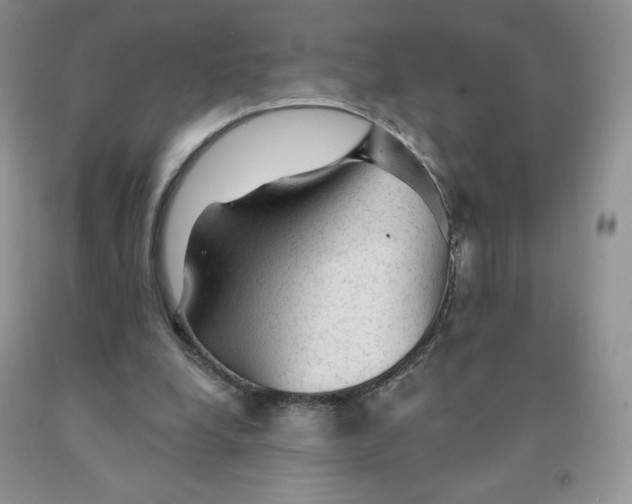 X0000091330248200709071203