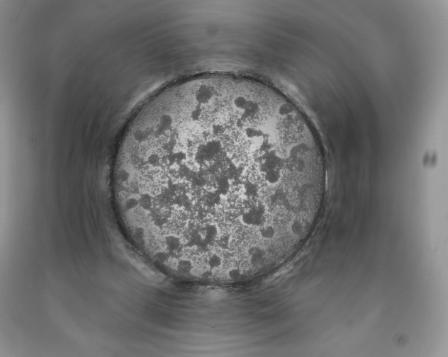 X0000091330249200709071203