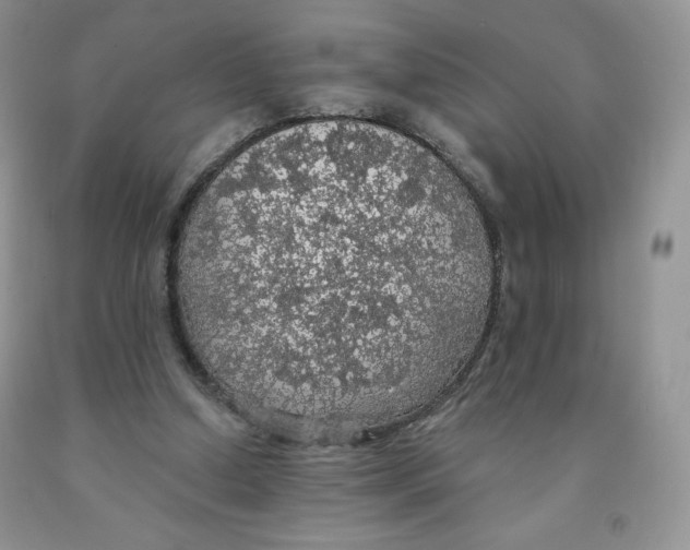 X0000091330250200709071203