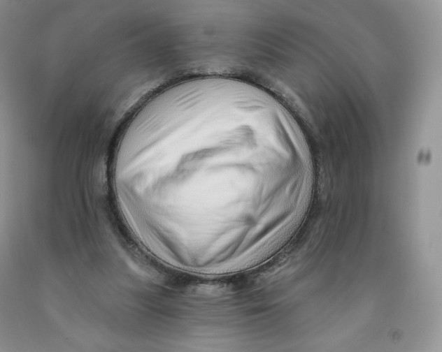 X0000091330251200709071203