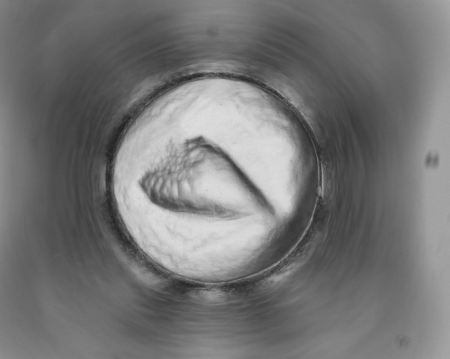 X0000091330253200709071203