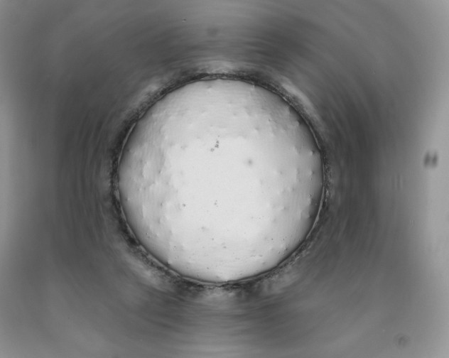 X0000091330257200709071203