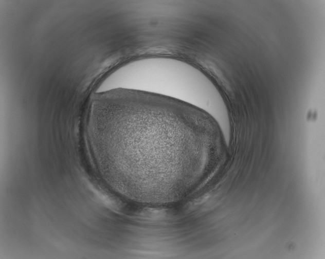 X0000091330260200709071203