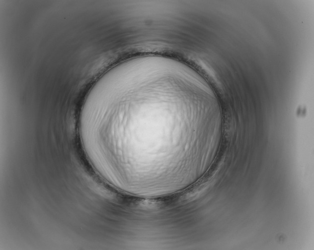 X0000091330261200709071203