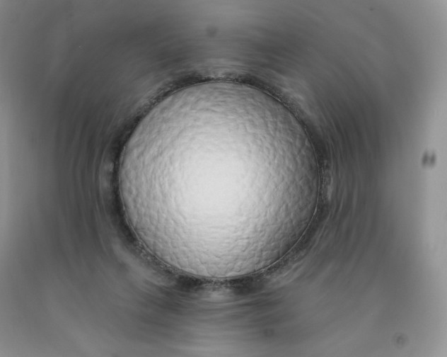 X0000091330263200709071203