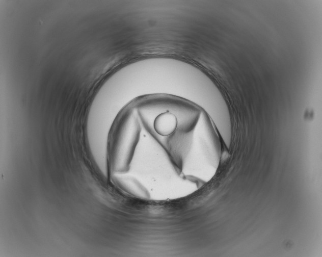 X0000091330264200709071203