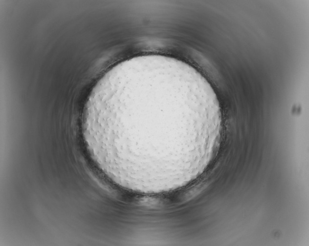 X0000091330265200709071203