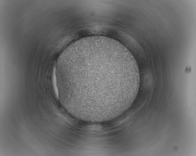 X0000091330266200709071203
