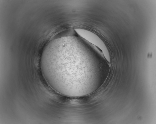 X0000091330268200709071203