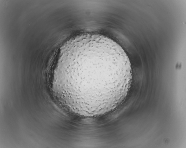 X0000091330269200709071203
