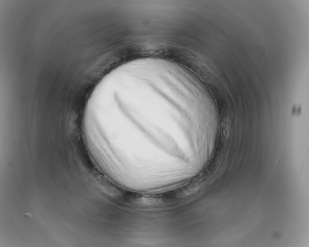 X0000091330270200709071203