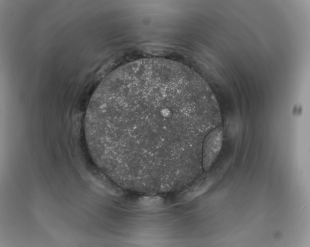 X0000091330271200709071203