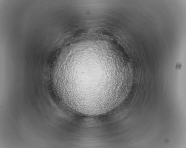 X0000091330272200709071203