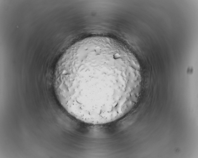 X0000091330273200709071203