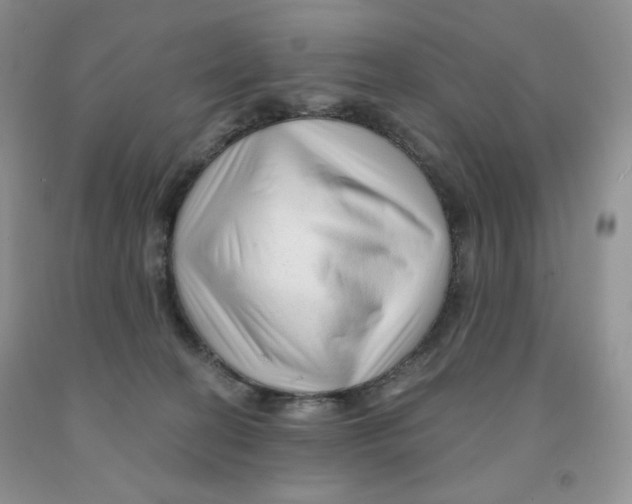 X0000091330274200709071203