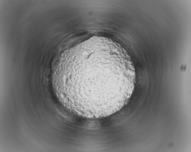 X0000091330275200709071203