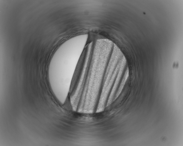 X0000091330276200709071203