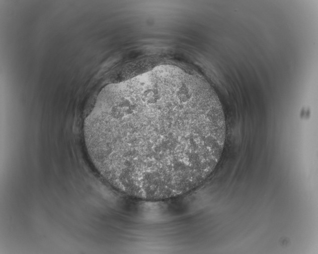 X0000091330277200709071203