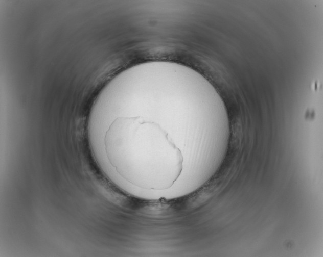 X0000091330278200709071203