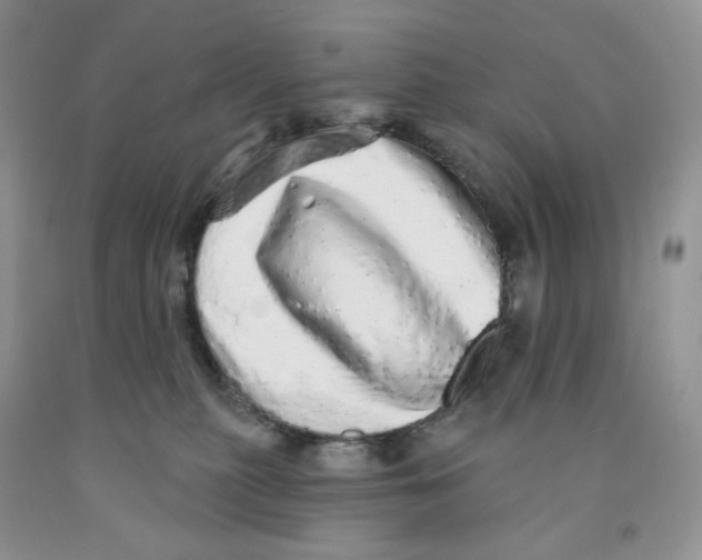 X0000091330279200709071203