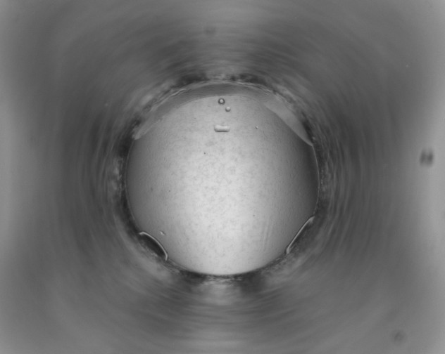 X0000091330280200709071203