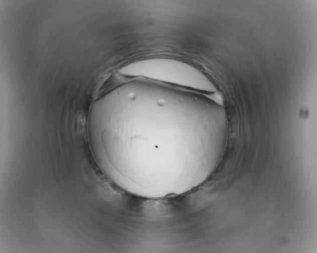 X0000091330281200709071203