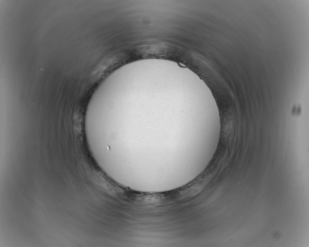 X0000091330282200709071203
