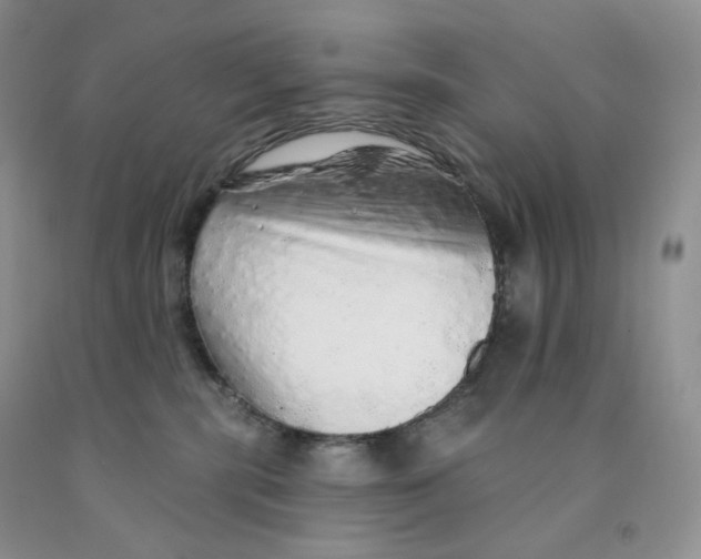 X0000091330283200709071203