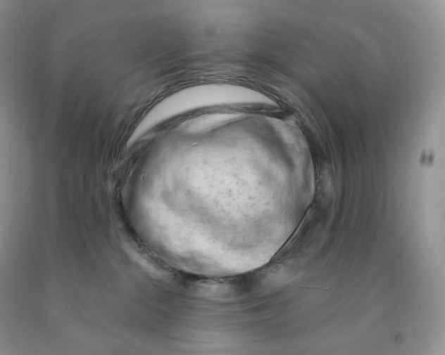 X0000091330284200709071203