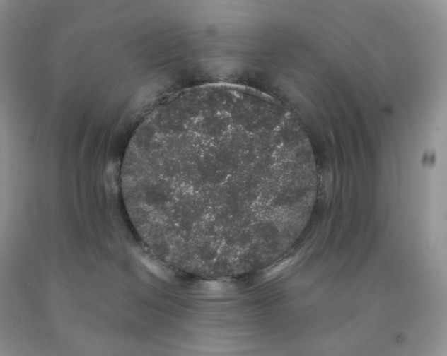 X0000091330286200709071203