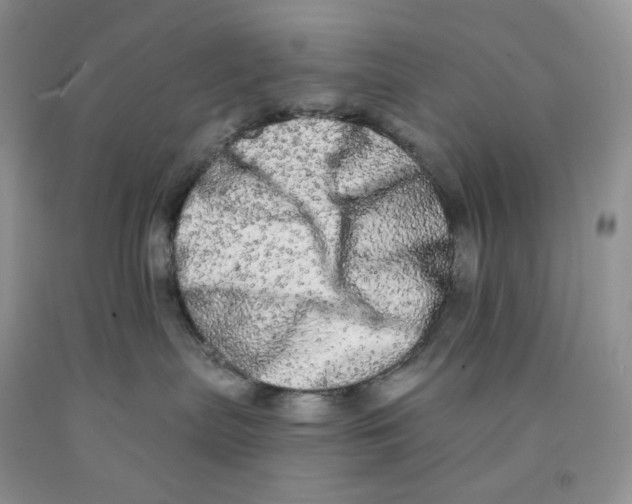 X0000091330287200709071203