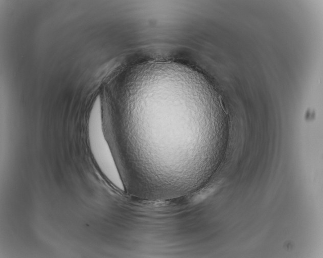 X0000091330288200709071203