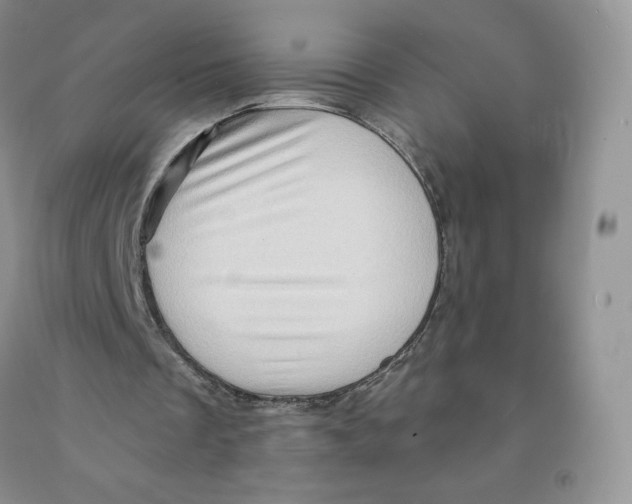 X0000091330289200709071203