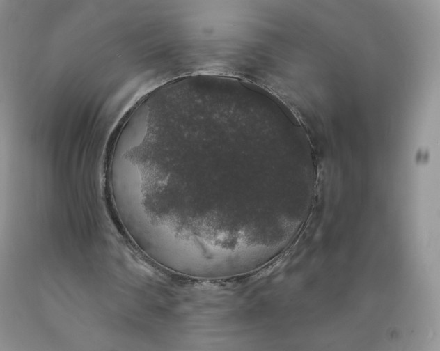 X0000091330290200709071203