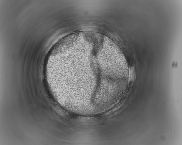 X0000091330291200709071203