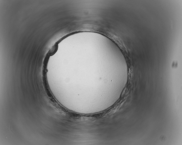 X0000091330292200709071203