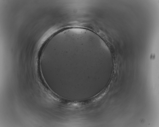 X0000091330295200709071203