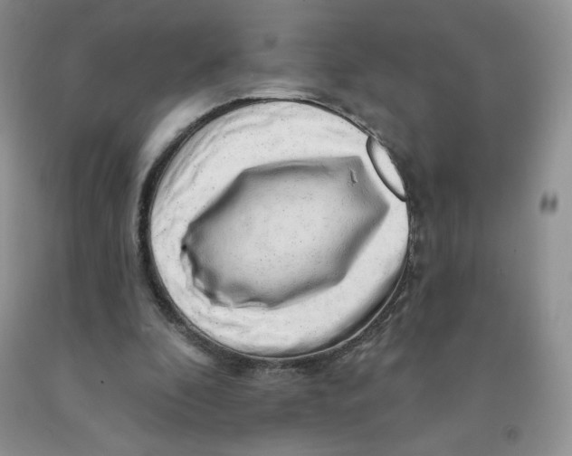 X0000091330296200709071203