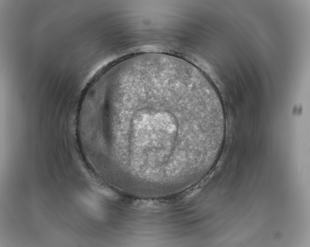 X0000091330297200709071203