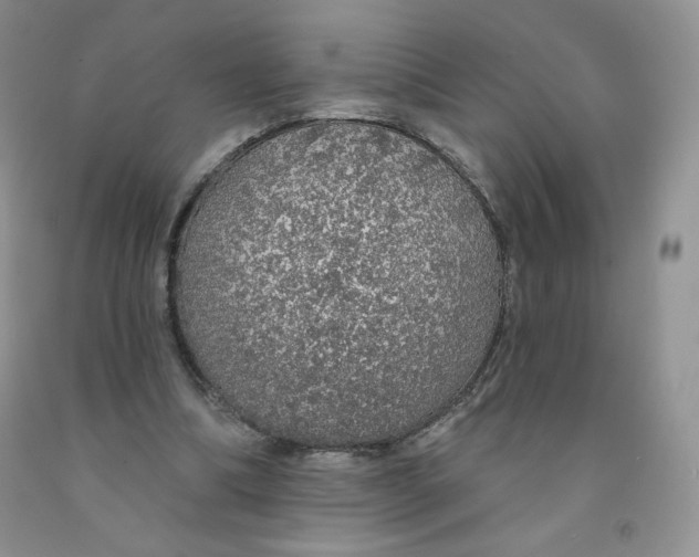 X0000091330298200709071203