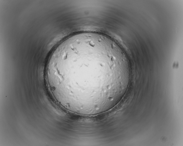 X0000091330299200709071203