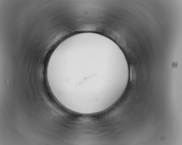 X0000091330300200709071203
