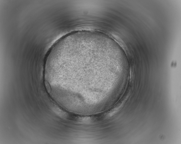 X0000091330301200709071203