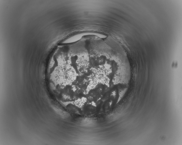 X0000091330303200709071203