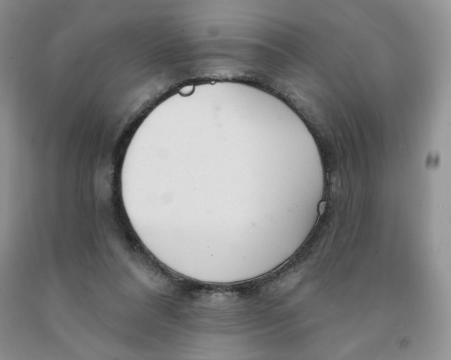 X0000091330304200709071203