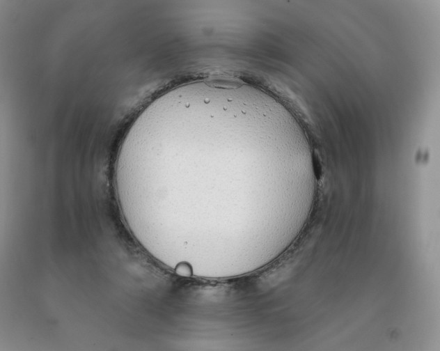 X0000091330306200709071203