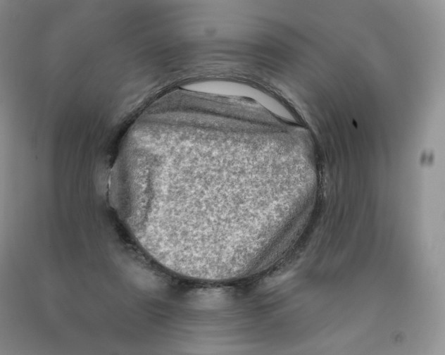 X0000091330307200709071203