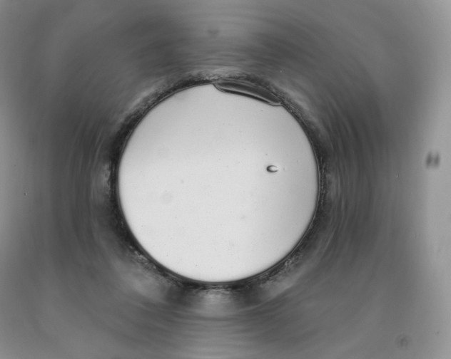 X0000091330308200709071203