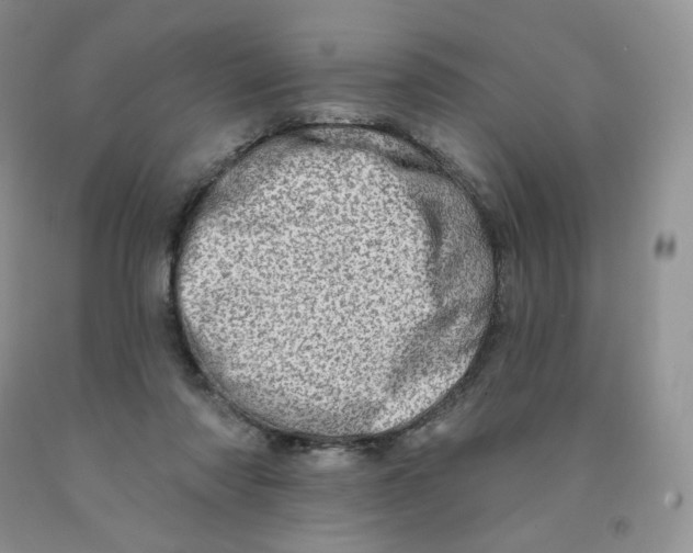 X0000091330310200709071203